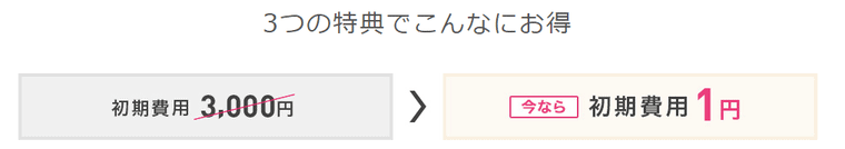 IIJmio初期費用1円