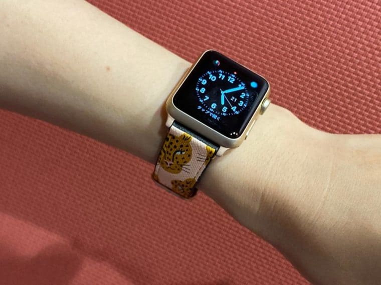 CASETiFY Apple Watch band ケースティファイ - その他